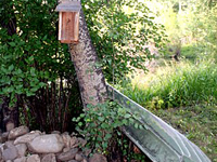 Deep Creek Cabin, Livingston Montan